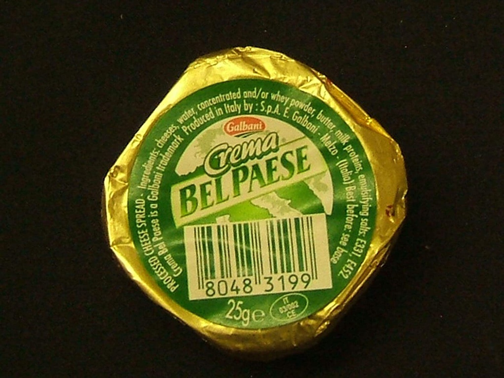 [PRE-ORDER] Lactalis Food Service Products - Galbani Crema Bel Paese X 12 X (24x25g)