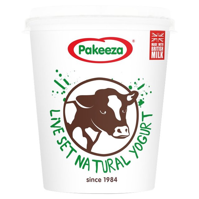 Pakeeza Natural Yoghurt - SMALL Live Set 425g