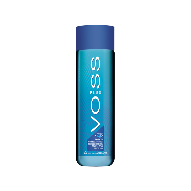 Voss Artesian Water - PLUS Still X 24 X 500ml