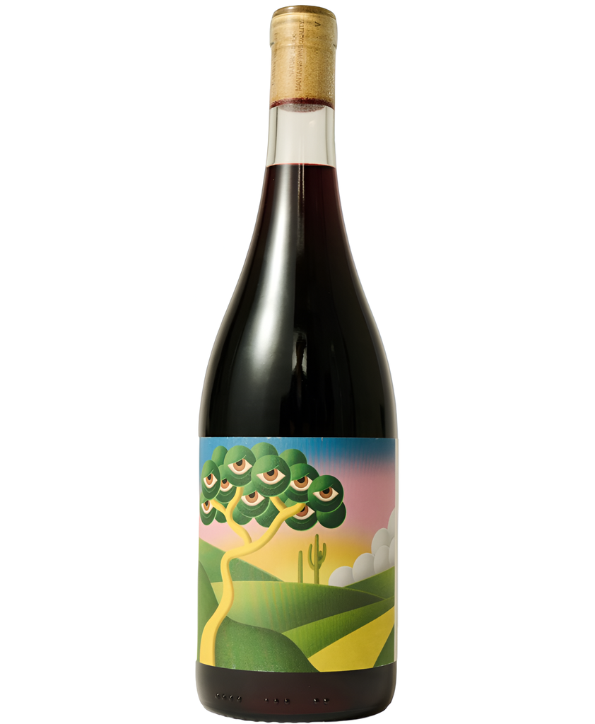 Other World Red Wine - La Ventana Arinarnoa Pampas 13% ABV URUGUAY X 6 X 750ml
