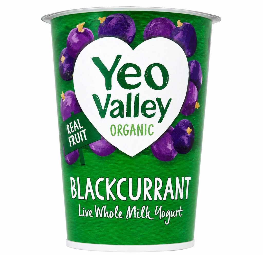 Yeo Valley Organic Fruit Yoghurt - Blackcurrant 450g