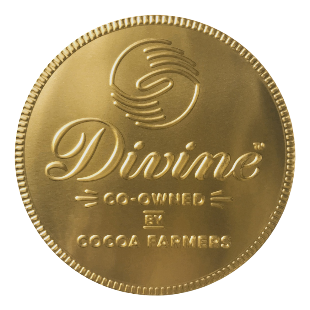Divine Chocolate Coin - MILK Giant 58g