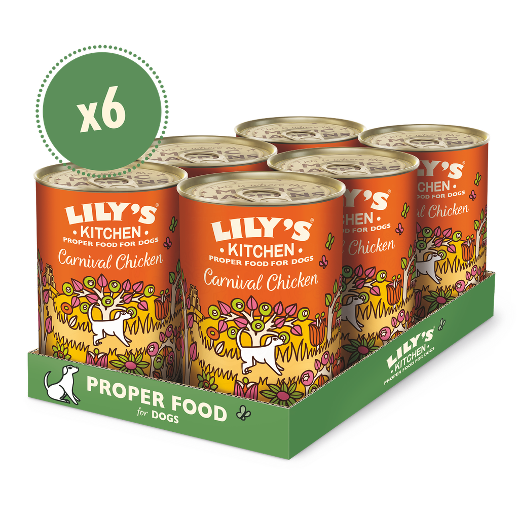 Lilys Kitchen Pet Food - DOG Carnival Chicken Tin DCA4 X 6 X 400g