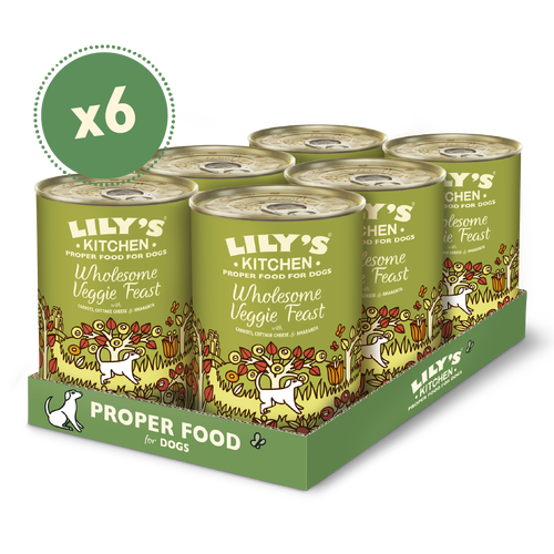 [11007] [25% OFF] Lilys Kitchen Pet Food - DOG Wholesome Veggie Feast Tin DVF17 X 6 X 400g