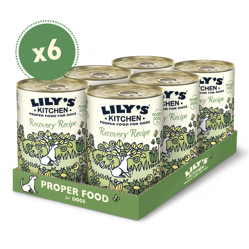 [11257] [25% OFF] Lilys Kitchen Pet Food - DOG Recovery Recipe Tin DRR10 X 6 X 400g